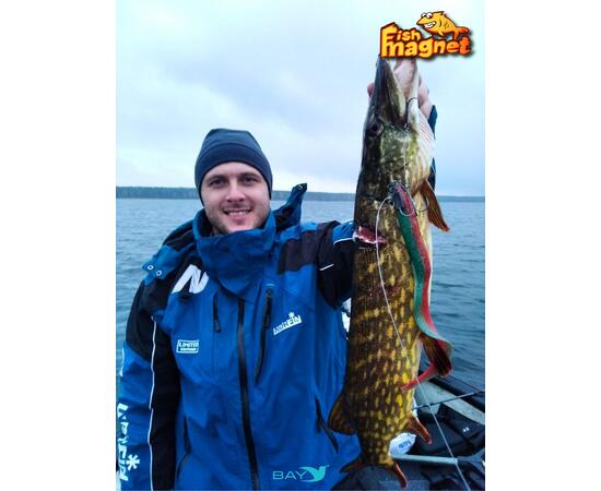 Силиконовая приманка Fish Magnet UGOR 4" (101.6 мм) цвет 003