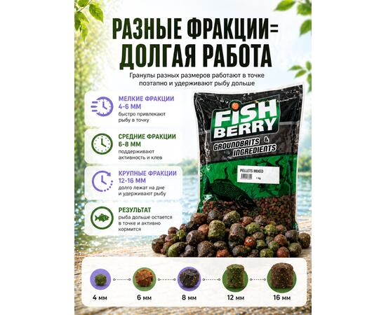 Lion Baits Пеллетс карповый медленно растворимый FishBerry Mixed миксованный - 1 кг