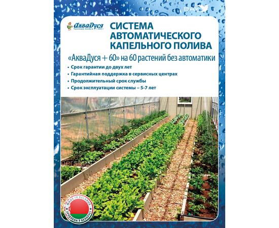 Капельный полив АкваДуся +60 на 60 растений без автоматики