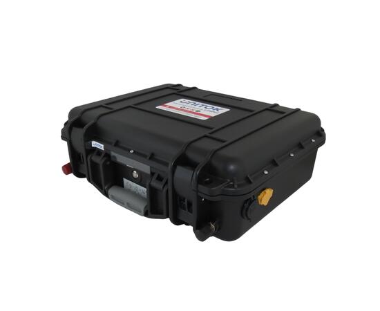 Аккумулятор UniTok Lifepo4 D 12-230X69 (корпус 3220) (чемодан)